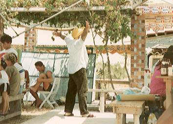 Vangeli's at Aghios Nikitas.