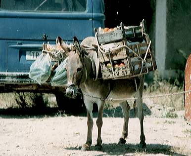 The Modern High-Tech Logistical System!