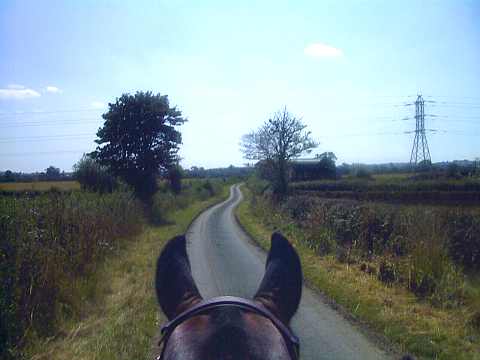 The long and winding road...